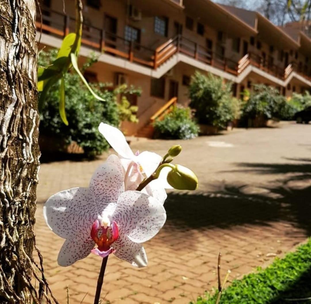 Hotel Pousada Santa Rita 리베이라오프레토 외부 사진
