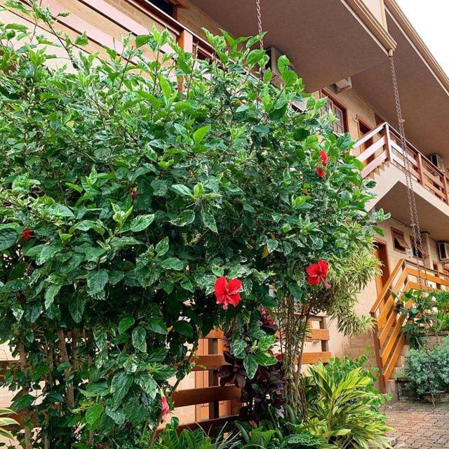 Hotel Pousada Santa Rita 리베이라오프레토 외부 사진